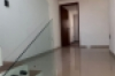 4276408315.jpg