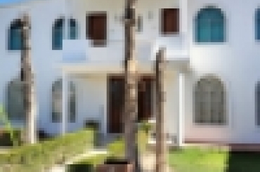 4293871191.jpeg