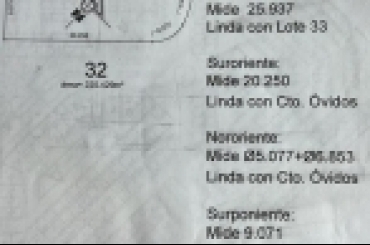 4436288280.jpg
