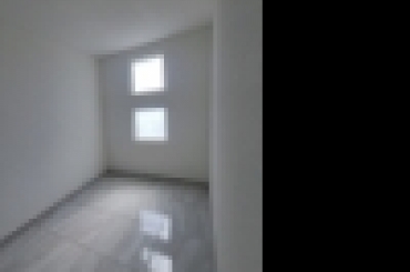 4458119333.jpeg