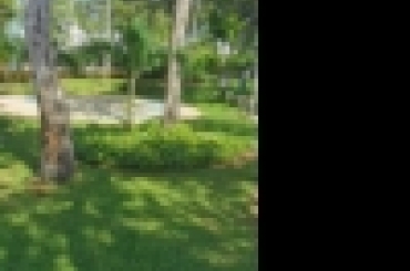 4529265444.jpg