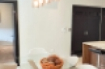 4547955035.jpg