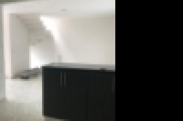 4595351433.jpg