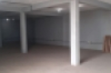 4646320049.jpeg