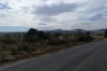 4731576349.jpg