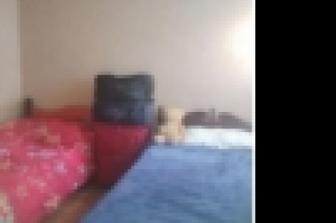 4748208732.jpg