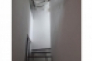 4831591881.jpg