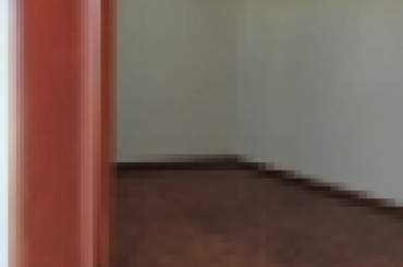 4965587584.jpeg