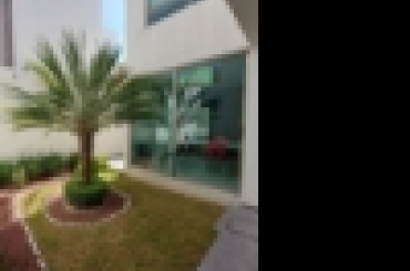 5039475988.jpg