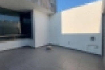 5093814856.jpg
