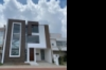 5123621807.jpg