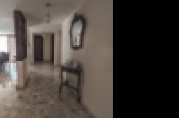 5124270478.jpeg