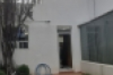 5145663502.jpeg
