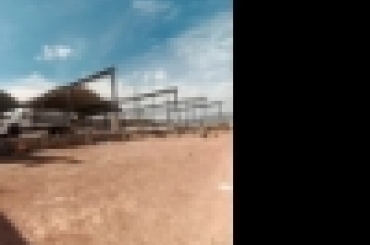 5169306215.jpg