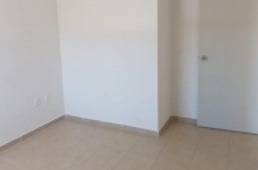 5278794602.jpg