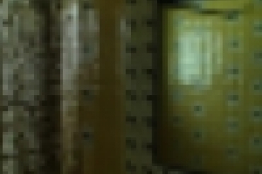 5294085559.jpg