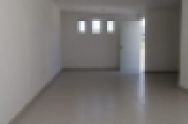 5329684955.jpeg