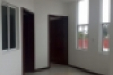 5331356232.jpg