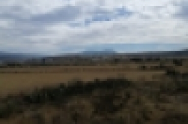 5342776603.jpg