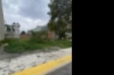5349883502.jpg