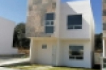 5369260744.jpg