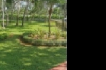 5443585533.jpg