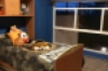 5508920885.jpeg