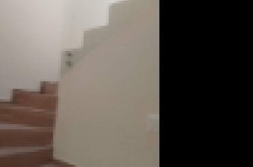 5517549524.jpg