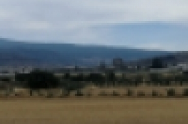 5529323467.jpg