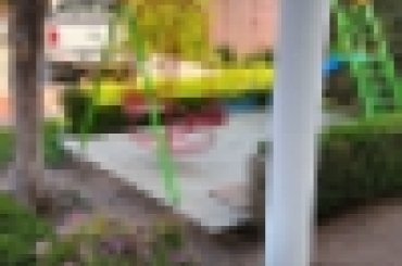 5585025432.jpeg