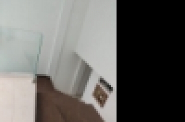 5621890230.jpg