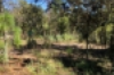 5682022888.jpg