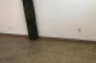 5730402790.jpeg