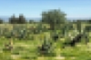 5768710025.jpeg