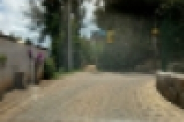 5893240720.jpeg