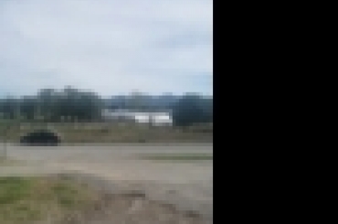 5977298934.jpg