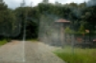 6177417919.jpeg