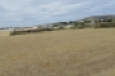 6221750839.jpg