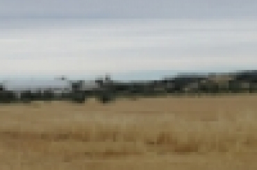 6336130006.jpg