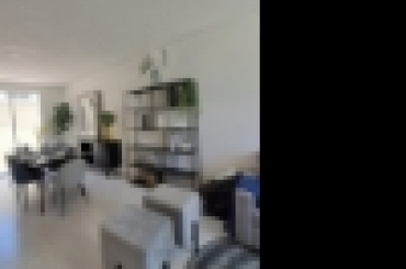 6480923695.jpeg