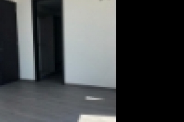 6581242959.jpg