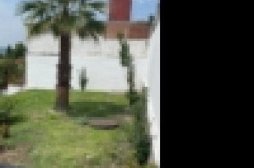 658967732.jpg
