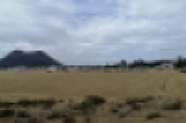 6600648001.jpg
