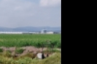 6716180643.jpeg