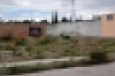 6780675258.jpg