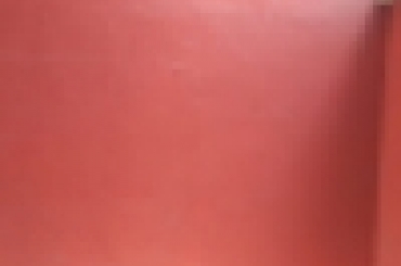 6880264556.jpeg