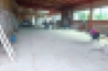 7055346504.jpg