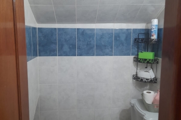 7057603616.jpg