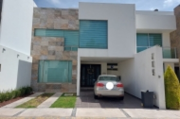 7061383379.jpg