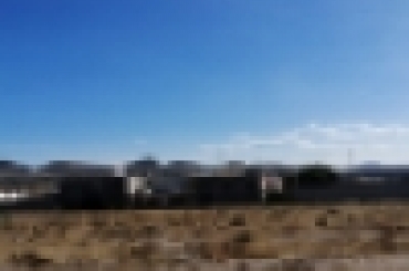 7129193730.jpg